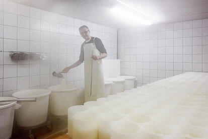 Homme réalisant une étape de fabrication fromagère dans un atelier avec des moules à fromage alignés